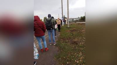 Под Воронежем в час пик на остановке выстроилась длинная очередь - vestivrn.ru - Воронеж - Воронежская обл.