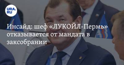 Инсайд: шеф «ЛУКОЙЛ-Пермь» отказывается от мандата в заксобрании - ura.news - Пермь
