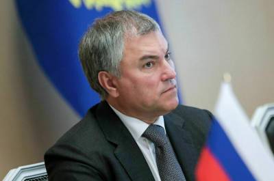 Вячеслав Володин - Володин считает, что российская делегация не должна принимать участие в сессии ПАСЕ - pnp.ru - Россия