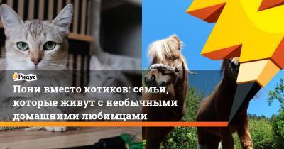 Пони вместо котиков: семьи, которые живут с необычными домашними любимцами - ridus.ru - Англия
