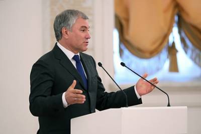 Вячеслав Володин - Володин раскритиковал ПАСЕ после ограничений в адрес российских делегатов - lenta.ru