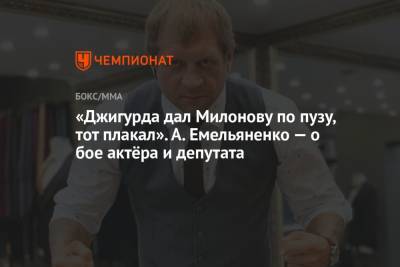 Владимир Соловьев - Виталий Милонов - Никита Джигурда - Сергей Жорин - Александр Емельяненко - «Джигурда дал Милонову по пузу, тот плакал». А. Емельяненко — о бое актёра и депутата - championat.com