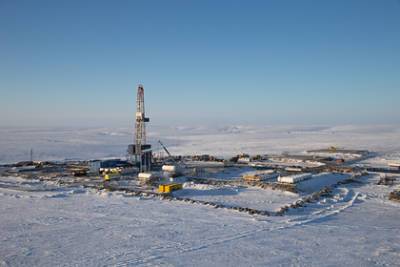 Арктику назвали «климатической бомбой» из-за добычи нефти - lenta.ru