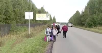 Александр Бастрыкин - Глава СК поручил провести проверки после выхода двух сюжетов - ren.tv - Россия - Московская обл. - Нижегородская обл.