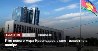 Вера Галушко - Имя нового мэра Краснодара станет известно в ноябре - kubnews.ru - Краснодарский край - Краснодар