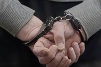 Французский суд подтвердил третий пожизненный приговор террористу Карлосу Шакалу - mk.ru - Франция - Париж - Венесуэла