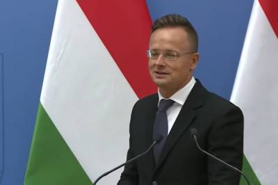 Петер Сийярто - Глава МИД Венгрии заявил об угрозе новой холодной войны в мире - mk.ru - Китай - США - Венгрия