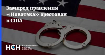 Зампред правления «Новатэка» арестован в США - nsn.fm - США