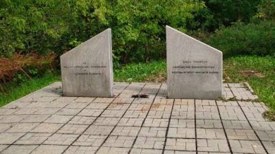 В Кузбассе задержали двух вандалов, похитивших крест с места захоронения венгерских военнопленных - gazeta.a42.ru