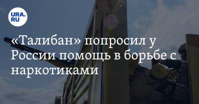 «Талибан» попросил у России помощь в борьбе с наркотиками - ura.news - Москва - Россия - Афганистан