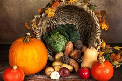 Ученые назвали 7 продуктов, которые помогут победить бессонницу, стресс и укрепить здоровье осенью. – Учительская газета - ug.ru - США