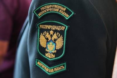 В Волгограде завели дело о хищении бюджетных денег при устранении свалки - volg.mk.ru - Россия - Волгоград - Астраханская обл. - Волгоградская обл.
