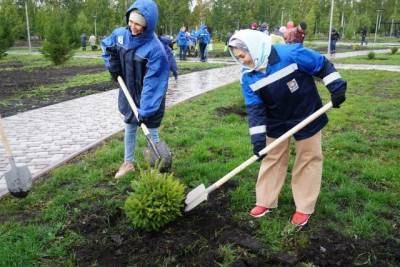 «Кузбассразрезуголь» озеленил парк в посёлке Бачатский - gazeta.a42.ru - Экология