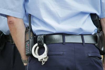 В Амурской области арестовали начальника управления в УМВД и его подчиненных - mk.ru - Амурская обл. - Благовещенск