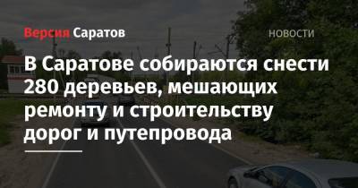 В Саратове собираются снести 280 деревьев, мешающих ремонту и строительству дорог и путепровода - nversia.ru - Саратов - район Ленинский, Саратов