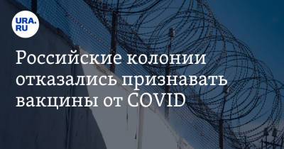 Российские колонии отказались признавать вакцины от COVID - ura.news - Нижегородская обл. - республика Мордовия
