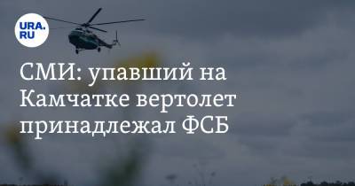 СМИ: упавший на Камчатке вертолет принадлежал ФСБ - ura.news - Россия - район Елизовский