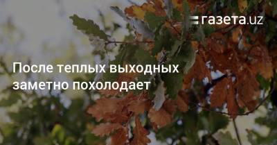 После теплых выходных заметно похолодает - gazeta.uz - Узбекистан