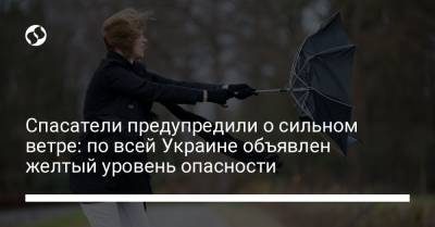 Спасатели предупредили о сильном ветре: по всей Украине объявлен желтый уровень опасности - liga.net - Украина - Киев