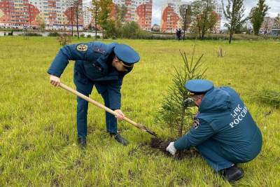 За лопаты взялись работники МЧС ради озеленения «Лугового» - mk.ru - Россия - Великий Новгород