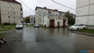 Южно-сахалинская лужа стойко боролась с морозами и засухой несколько лет - sakhalin.info