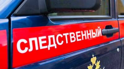 Следователи возбудили дело по факту гибели туристов при восхождении на Эльбрус - inforeactor.ru - Россия