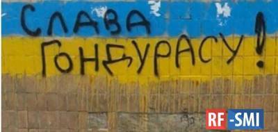 Вот это почет: Зеленский в ООН будет выступать после Гондураса - rf-smi.ru - США - Украина - Вашингтон - Гондурас