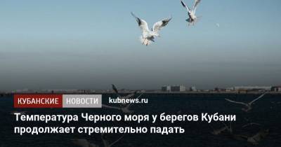 Роман Вильфанд - Температура Черного моря у берегов Кубани продолжает стремительно падать - kubnews.ru - Россия - Анапа - Сочи - Краснодарский край - Новороссийск - Черное Море