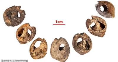 Бусы возрастом 150 тыс. лет. Археологи нашли самые древние в мире ювелирные украшения - focus.ua - Украина