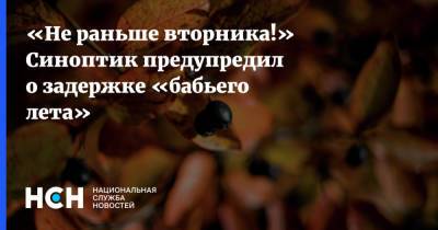 Александр Шувалов - «Не раньше вторника!» Синоптик предупредил о задержке «бабьего лета» - nsn.fm - Москва - Смоленск - Брянск