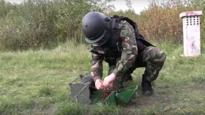 На полигоне под Петербургом уничтожили стокилограммовую авиабомбу времён войны - dp.ru - Ленинградская обл. - Санкт-Петербург