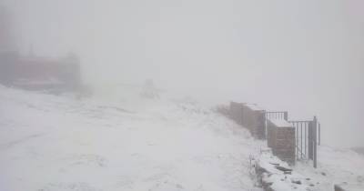 В Карпатах — снег и сильный ветер: спасатели просят туристов не ходить на высокогорье - dsnews.ua - Украина