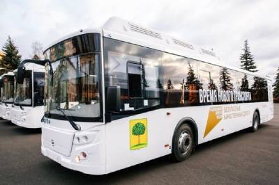 Автобус №302 будет ходить чаще - lipetskmedia.ru