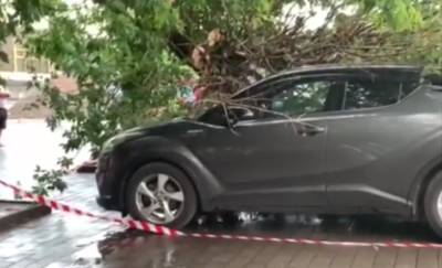 Закройте окна и спрячьте авто: синоптики объявили штормовое предупреждение, каким регионам приготовиться - ukrainianwall.com - Украина - Ужгород