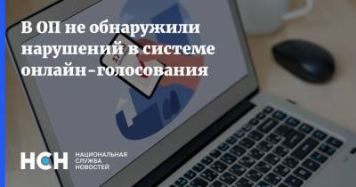 Максим Григорьев - В ОП не обнаружили нарушений в системе онлайн-голосования - nsn.fm - Россия
