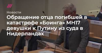 Отец девушки, погибшей в катастрофе «Боинга» под Донецком, обратился к Путину из суда в Гааге - tvrain.ru - Россия - Мурманск - Голландия - Курск - Гаага