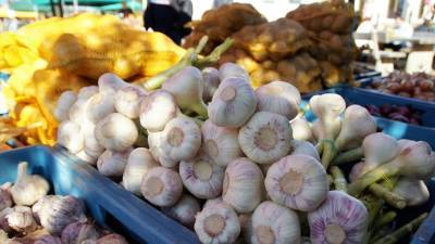 Россельхознадзор обсудил с турецкой стороной поставки плодоовощной продукции в Россию - russian.rt.com - Россия - Турция