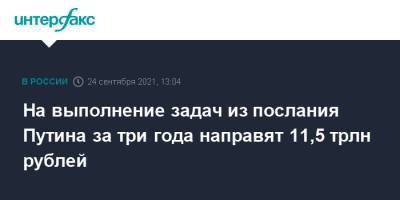 Татьяна Голикова - На выполнение задач из послания Путина за три года направят 11,5 трлн рублей - interfax.ru - Москва - Россия