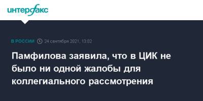 Элла Памфилова - Памфилова заявила, что в ЦИК не было ни одной жалобы для коллегиального рассмотрения - interfax.ru - Москва - Россия
