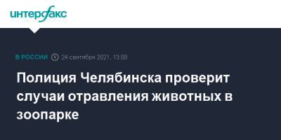 Полиция Челябинска проверит случаи отравления животных в зоопарке - interfax.ru - Москва - Челябинск