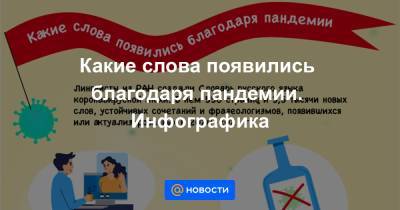 Какие слова появились благодаря пандемии. Инфографика - news.mail.ru - Россия