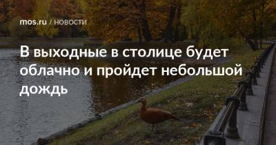 В выходные в столице будет облачно и пройдет небольшой дождь - mos.ru - Москва