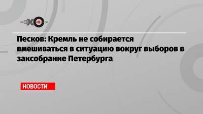 Дмитрий Песков - Песков: Кремль не собирается вмешиваться в ситуацию вокруг выборов в заксобрание Петербурга - echo.msk.ru - Москва - Россия - Санкт-Петербург