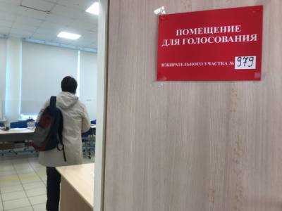 Элла Памфилова - Центризбирком утвердил результаты выборов в Госдуму - rosbalt.ru - Россия