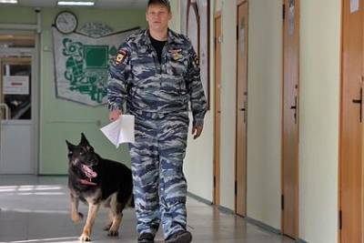 Ученики еще одной российской школы получили сообщения о готовящейся атаке - lenta.ru - Новосибирская обл. - район Мошковский