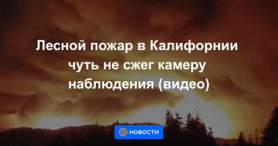 Лесной пожар в Калифорнии чуть не сжег камеру наблюдения (видео) - news.mail.ru - США - шт. Калифорния