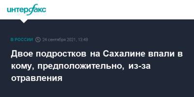 Двое подростков на Сахалине впали в кому, предположительно, из-за отравления - interfax.ru - Москва - Южно-Сахалинск - Сахалин