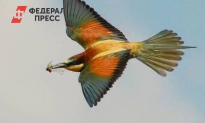 ТОП-20: Южный Урал глазами фотографов - fedpress.ru - Челябинская обл. - Экология