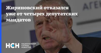 Владимир Жириновский - Жириновский отказался уже от четырех депутатских мандатов - nsn.fm - Россия - респ. Чувашия - Мурманск - Свердловская обл. - Югра