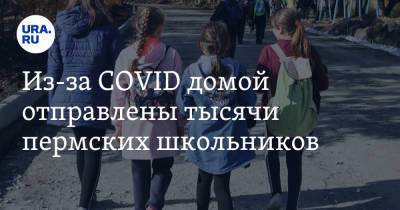 Дмитрий Антонов - Из-за COVID домой отправлены тысячи пермских школьников - ura.news - Пермский край